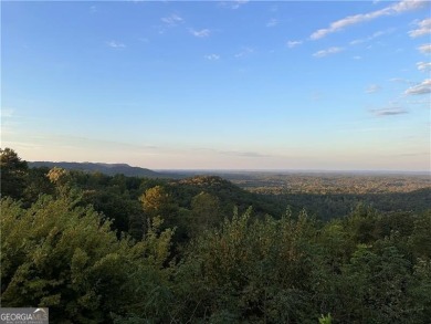 Lake Lot For Sale in Ranger, Georgia