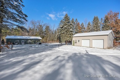 Lake Home For Sale in Greenville, Michigan