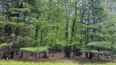 A beautiful building lot, 1.01 acres, located in highly sought - photo 3