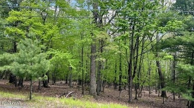 A beautiful building lot, 1.01 acres, located in highly sought - photo 4