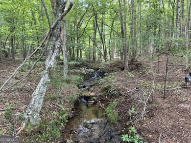 (private lake, pond, coastal) Acreage For Sale in Franklin Georgia