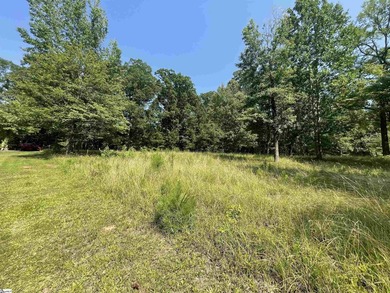 Discover a rare opportunity to build your dream retreat at 461 - photo 3