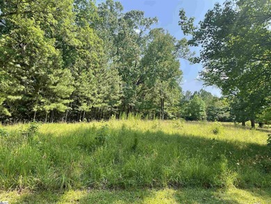 Discover a rare opportunity to build your dream retreat at 461 - photo 10