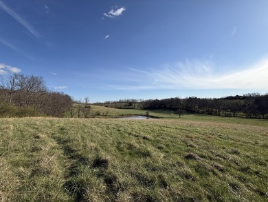 If you are looking for a farm that could suit all your needs - photo 46