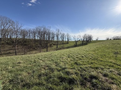 If you are looking for a farm that could suit all your needs - photo 47