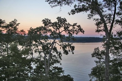 DOCK,LAKE FRONT & PANAROMIC LAKE VIEWS! TOTALLY UPDATED! - photo 2