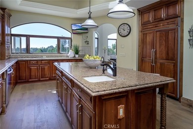 Luxurious Custom-Built Mediterranean Estate with Sweeping Views - photo 18