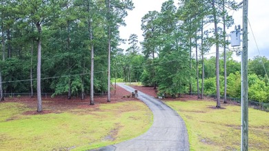 Welcome to peaceful country living at 6652 Old Mullins Rd in - photo 31