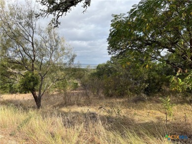  Lot For Sale in Buchanan Dam Texas