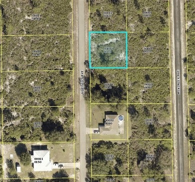 Lehigh Acres Area Lot For Sale in Lehigh Acres Florida