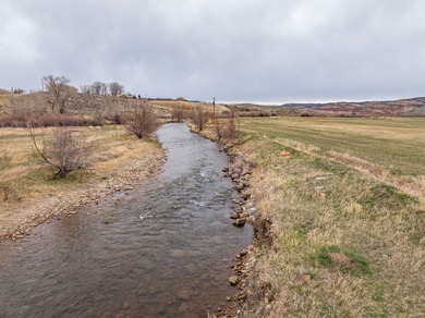 Enjoy a peaceful setting on 40.08+/- acres with Little Popo Agie - photo 12