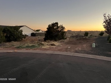 41 acre lot for sale in Frontier Estates in a double cul de sac - photo 1