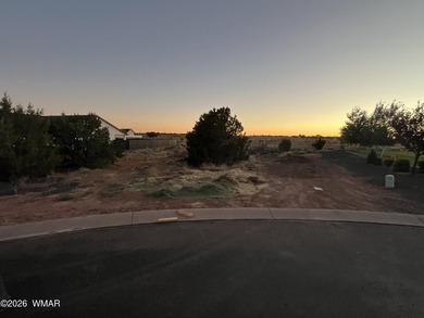 41 acre lot for sale in Frontier Estates in a double cul de sac - photo 2