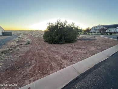 41 acre lot for sale in Frontier Estates in a double cul de sac - photo 3