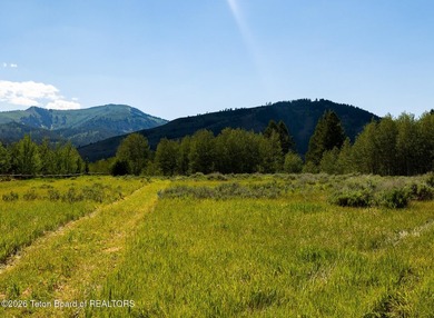 At the base of the Bridger-Teton NF, The Ranch Estates North are - photo 2