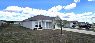 This 4 year young, Southern Homes built 4-bedroom, 2-bathroom - photo 4