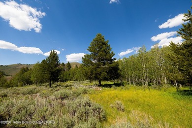At the base of the Bridger-Teton NF, The Ranch Estates North are - photo 4
