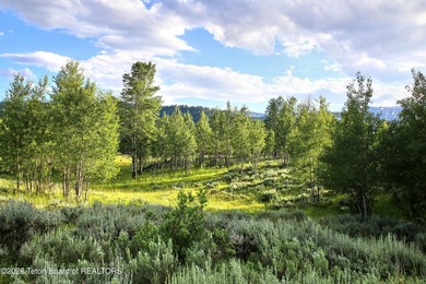 Boasting 12.6 acres with a 3.07 acre building envelope, lot 25 - photo 2