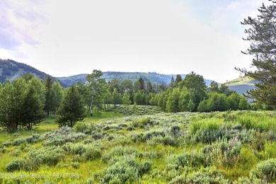 Boasting 12.6 acres with a 3.07 acre building envelope, lot 25 - photo 4