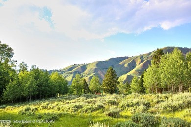 Boasting 12.6 acres with a 3.07 acre building envelope, lot 25 - photo 5