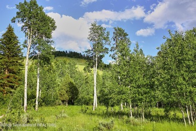 Outdoor recreationists, hikers & skiers will appreciate the - photo 3