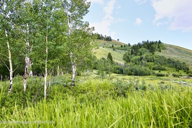 Outdoor recreationists, hikers & skiers will appreciate the - photo 6