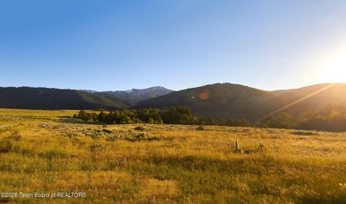 Bordering BTNF, Lot 26 features 31.6 acres of rolling hills & - photo 1