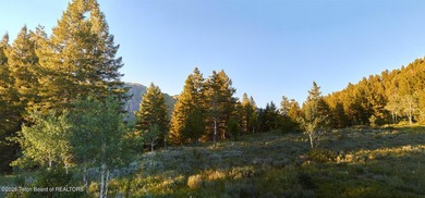 Bordering BTNF, Lot 26 features 31.6 acres of rolling hills & - photo 3