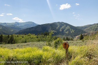 Bordering BTNF, Lot 26 features 31.6 acres of rolling hills & - photo 4