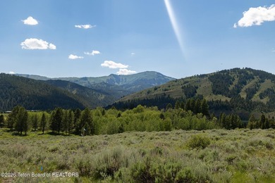 Bordering BTNF, Lot 26 features 31.6 acres of rolling hills & - photo 6