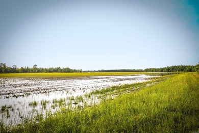 Welcome to an extraordinary hunting and recreational retreat - photo 37