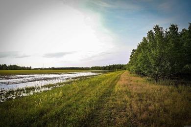 Welcome to an extraordinary hunting and recreational retreat - photo 38