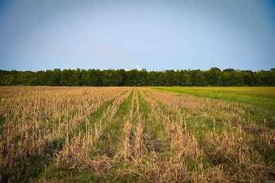 Welcome to an extraordinary hunting and recreational retreat - photo 41