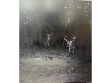 Welcome to an extraordinary hunting and recreational retreat - photo 47