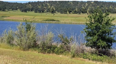 Build your dream home on the water in the gated community of - photo 9