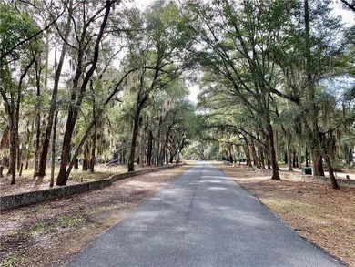 Marsh Front Coastal Living Awaits! Come build your dream house - photo 10