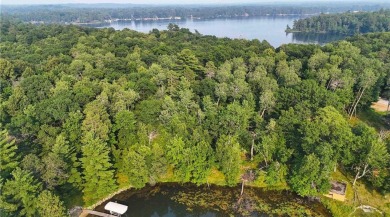 Lake Acreage For Sale in Crosslake, Minnesota