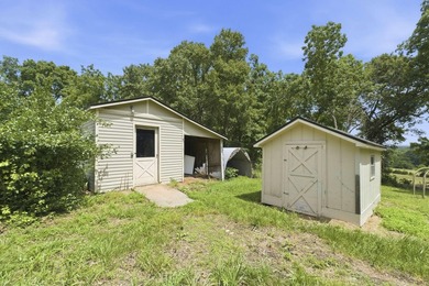 Just minutes from Stockton Lake, this move-in ready home sits on - photo 31