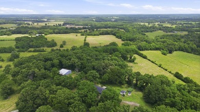 Just minutes from Stockton Lake, this move-in ready home sits on - photo 40
