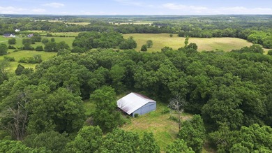 Just minutes from Stockton Lake, this move-in ready home sits on - photo 42