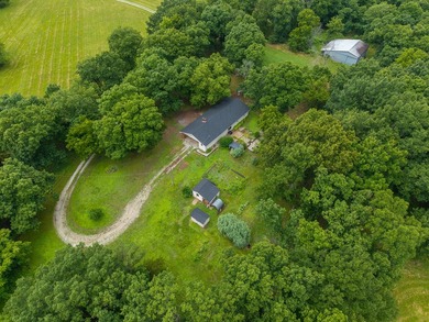 Just minutes from Stockton Lake, this move-in ready home sits on - photo 48