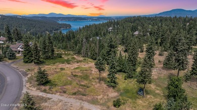 Coeur d Alene Lake Acreage For Sale in Coeur d Alene Idaho
