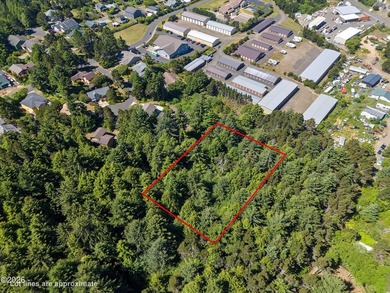 Opportunity awaits with this approximately 1-acre residentially - photo 5