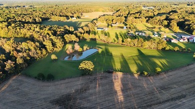 15 acres in Rienzi with room to build and enjoy the outdoors! - photo 2