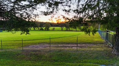 15 acres in Rienzi with room to build and enjoy the outdoors! - photo 3