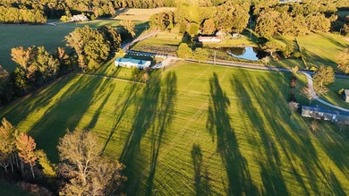 15 acres in Rienzi with room to build and enjoy the outdoors! - photo 6