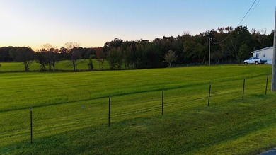 15 acres in Rienzi with room to build and enjoy the outdoors! - photo 7