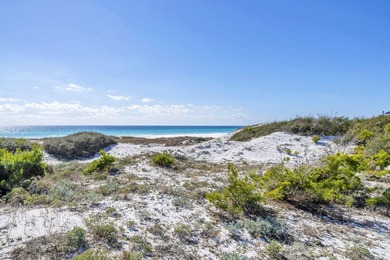 Build your dream coastal retreat in The Preserve at Grayton - photo 18