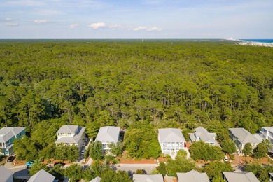 Build your dream coastal retreat in The Preserve at Grayton - photo 20