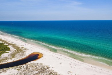 Build your dream coastal retreat in The Preserve at Grayton - photo 35